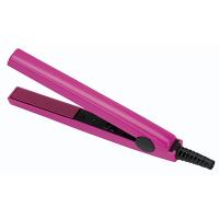 Hair Crimper / Straightener