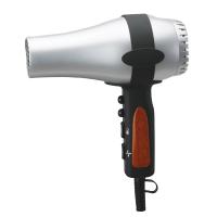 2000W Professional Hair Dryer
