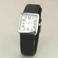 Alloy Watch
