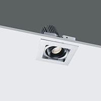LED Down Light