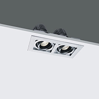 LED Down Light