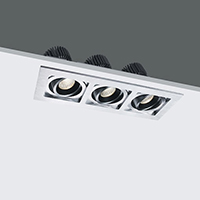 LED Down Light