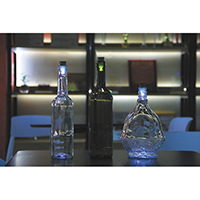 LED Bottle Light