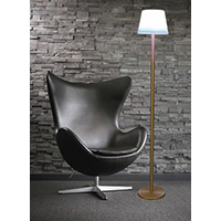 LED Floor Lamp