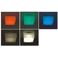Outdoor Wall Lamp